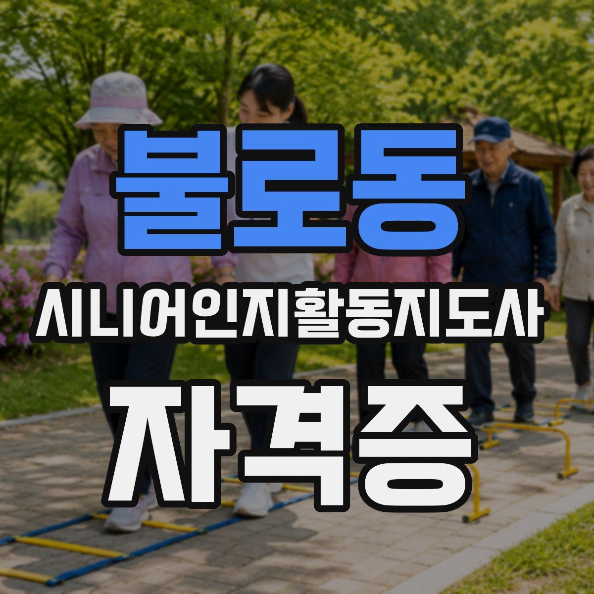 불로동 시니어인지활동지도사 자격증