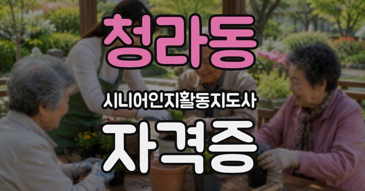청라동 시니어인지활동지도사 자격증