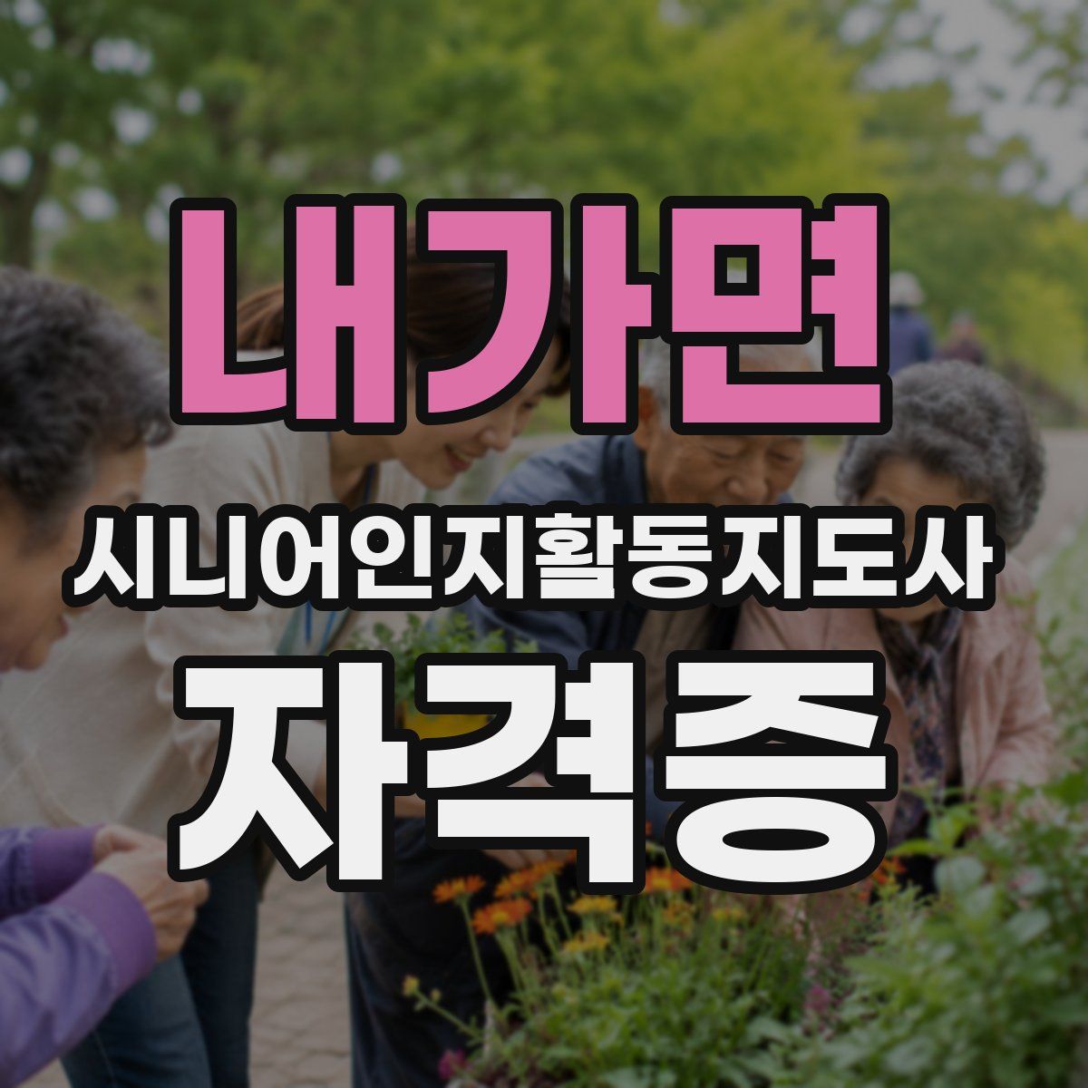 내가면 시니어인지활동지도사 자격증