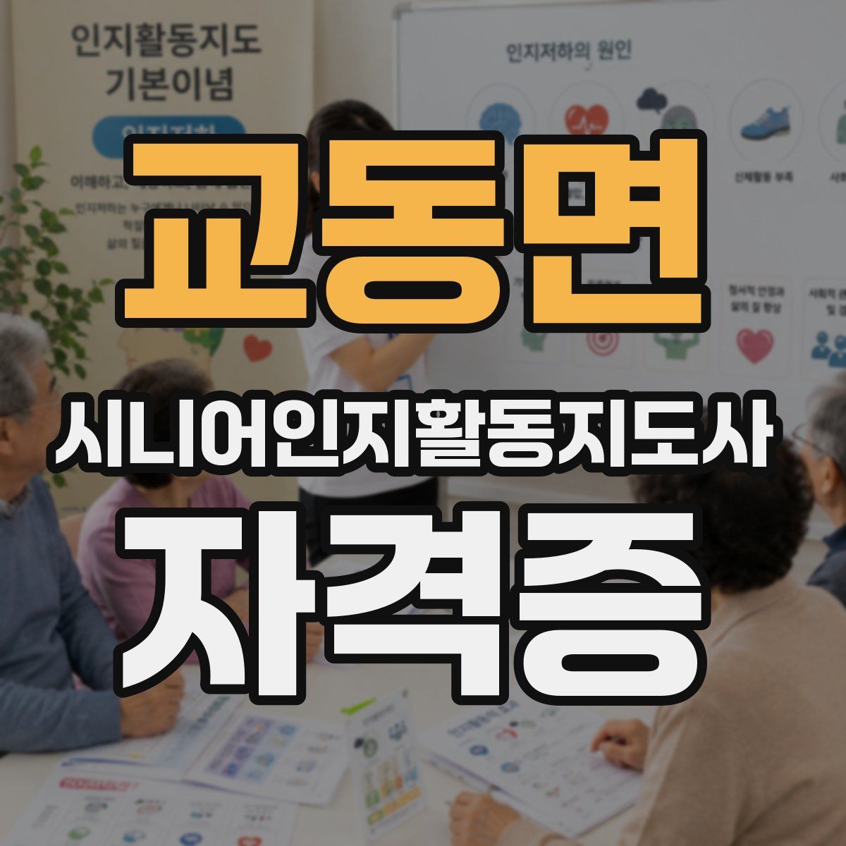교동면 시니어인지활동지도사 자격증