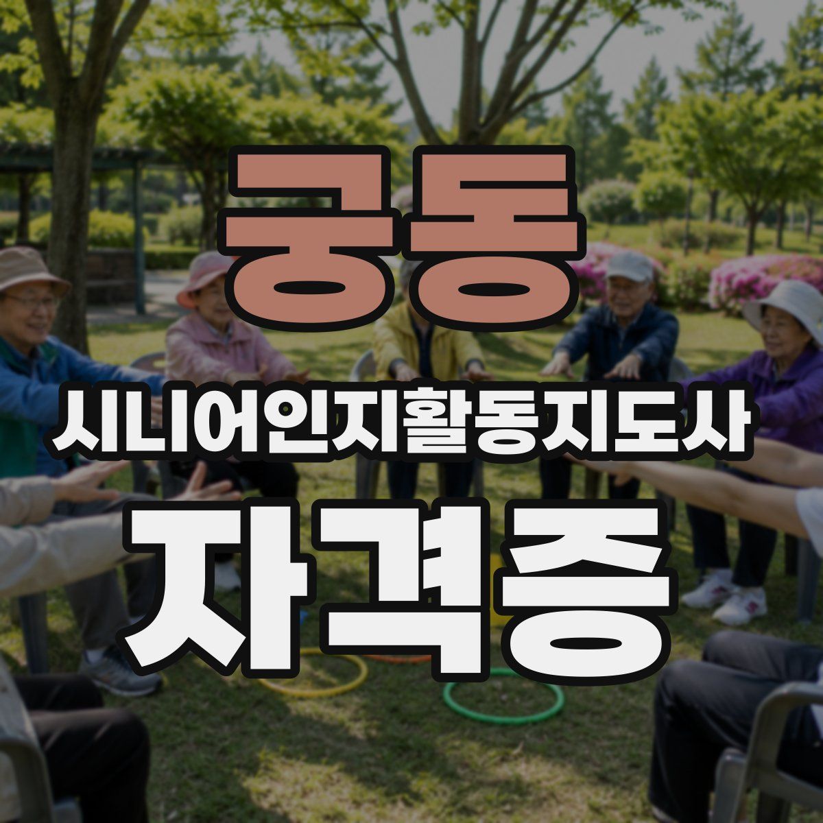 궁동 시니어인지활동지도사 자격증