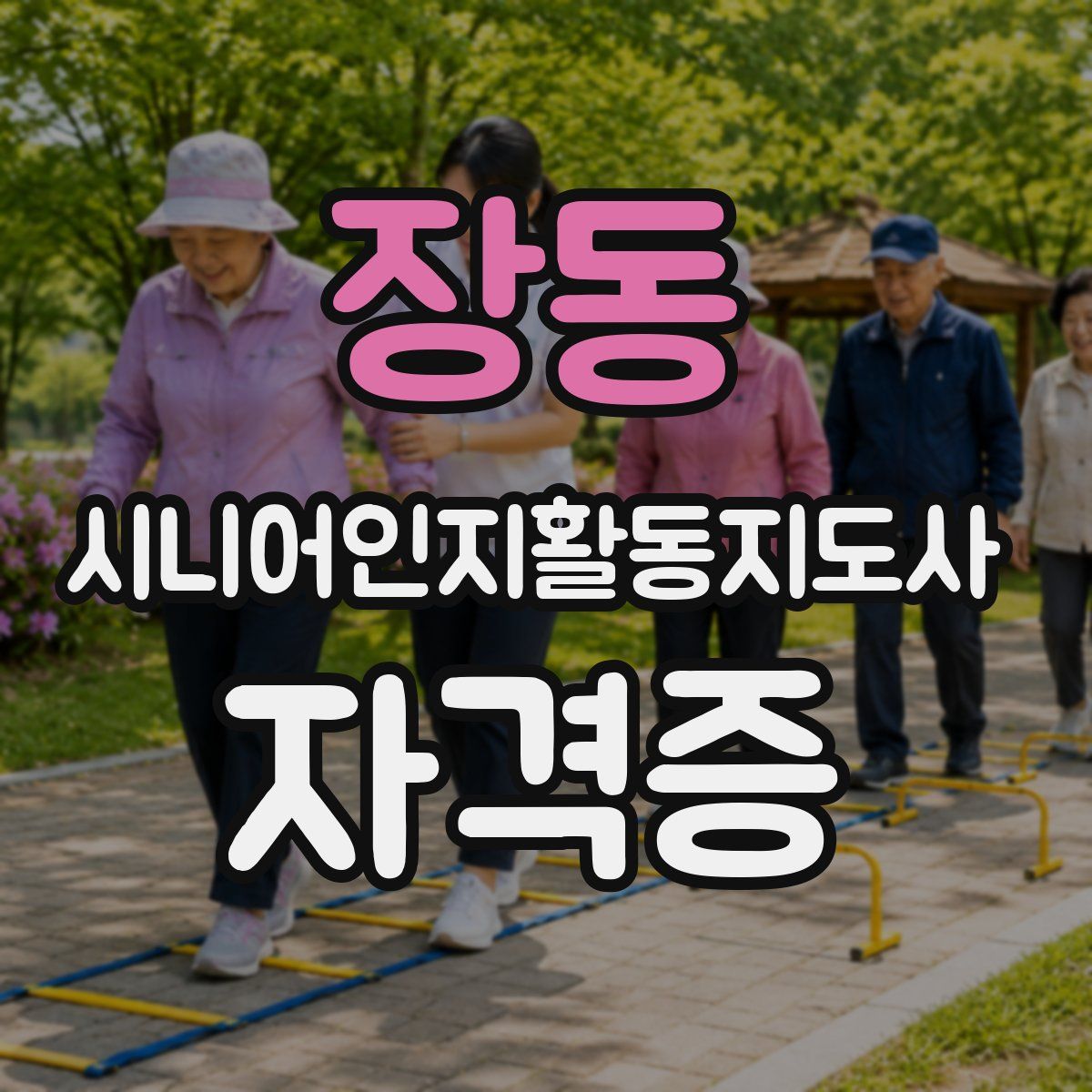 장동 시니어인지활동지도사 자격증