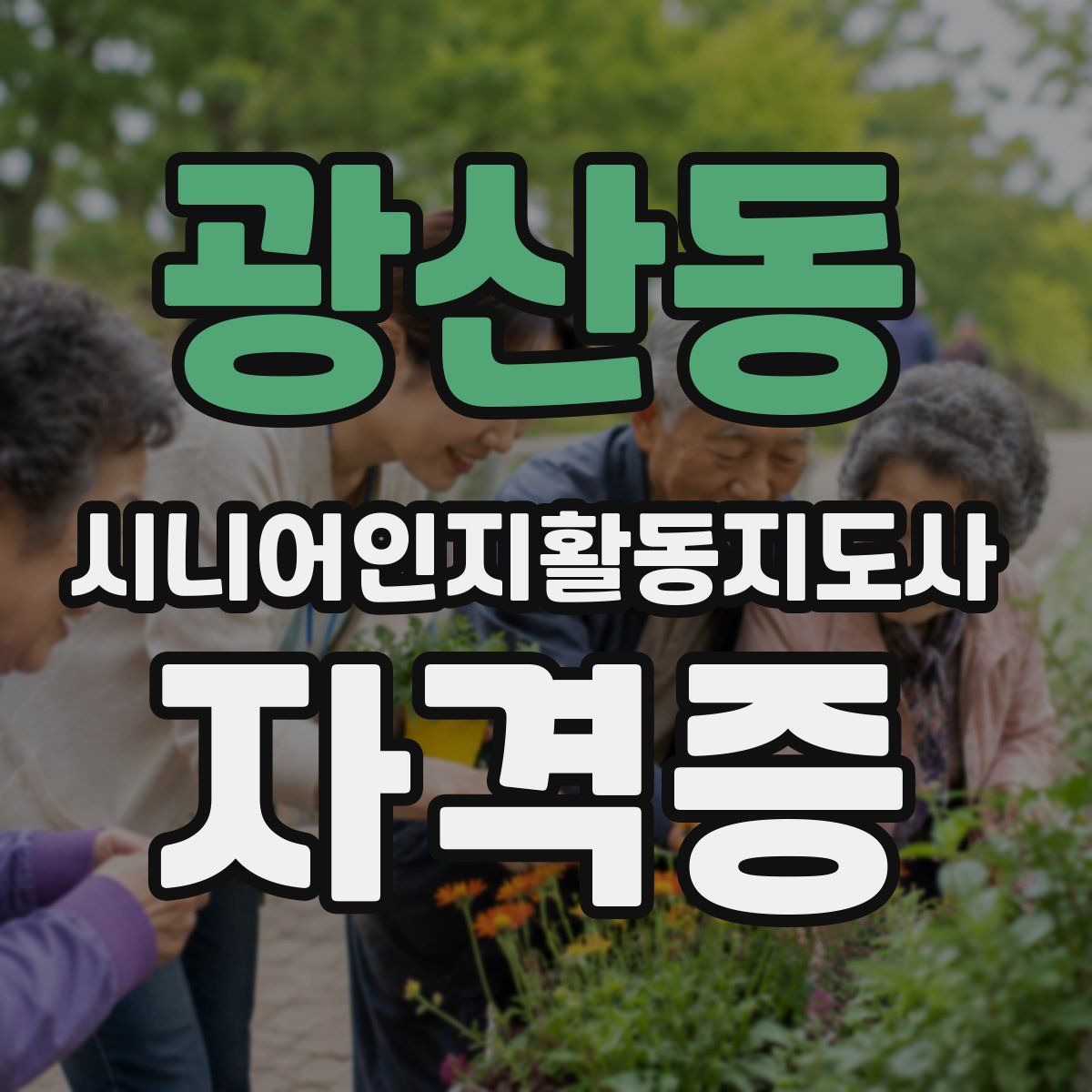 광산동 시니어인지활동지도사 자격증