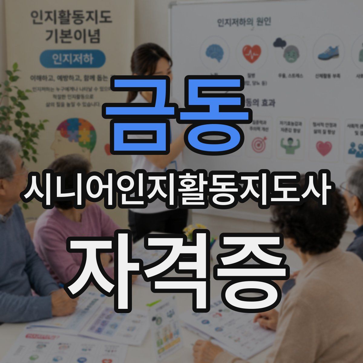 금동 시니어인지활동지도사 자격증