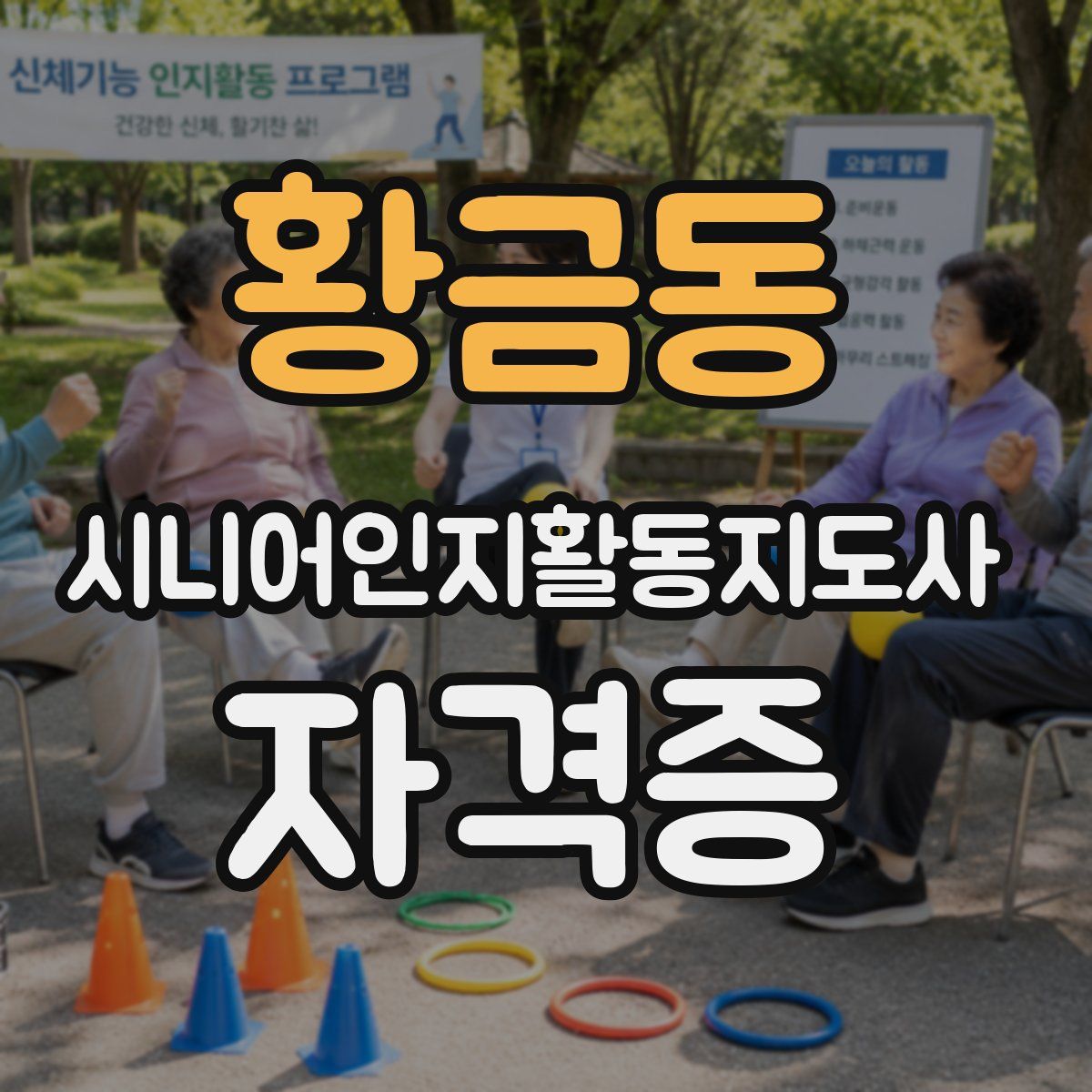 황금동 시니어인지활동지도사 자격증
