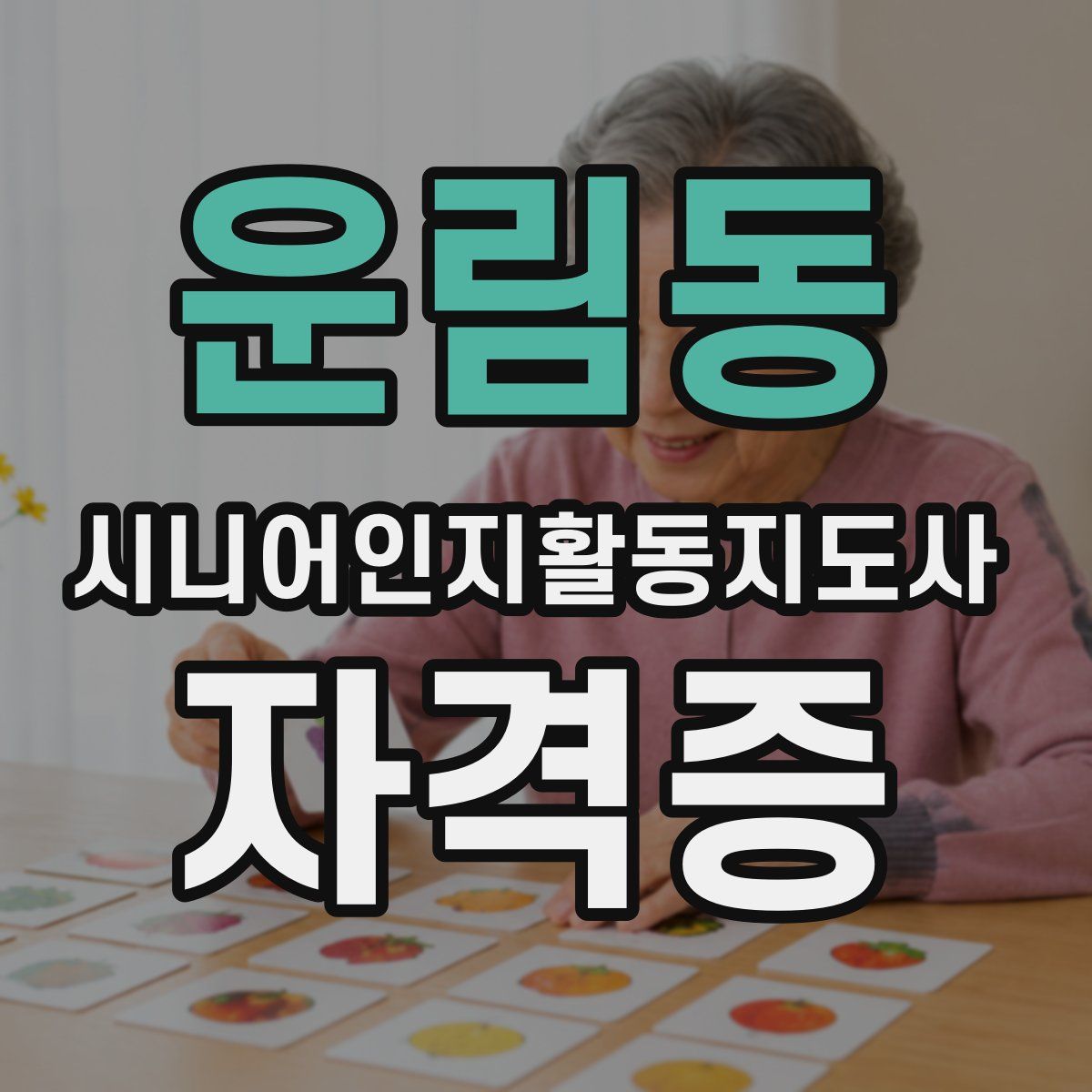 운림동 시니어인지활동지도사 자격증