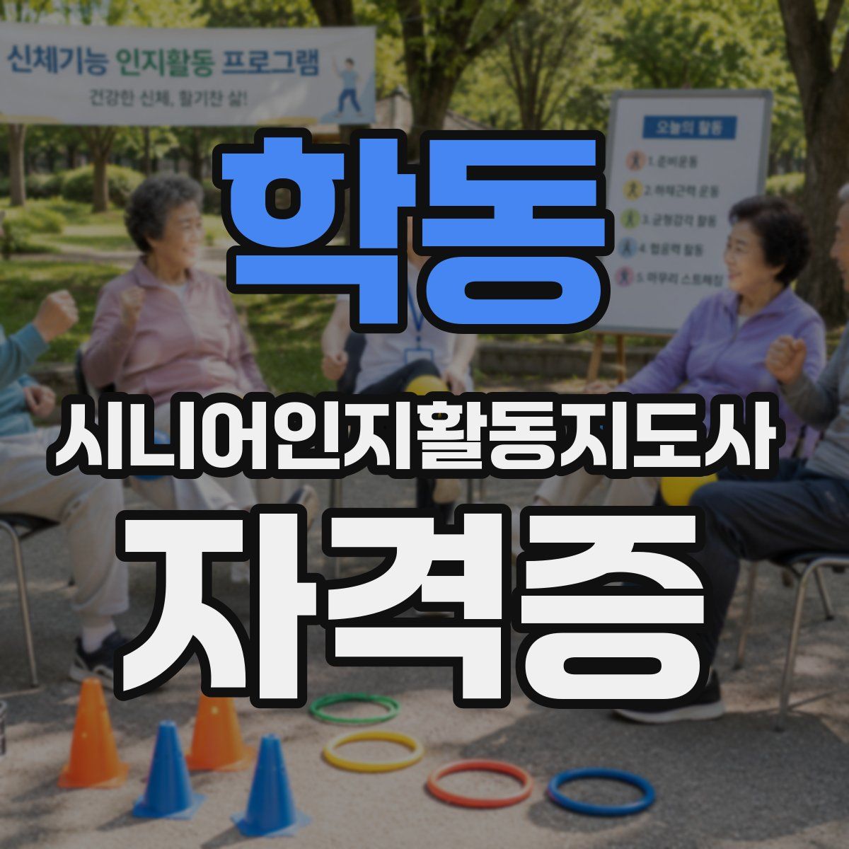 학동 시니어인지활동지도사 자격증