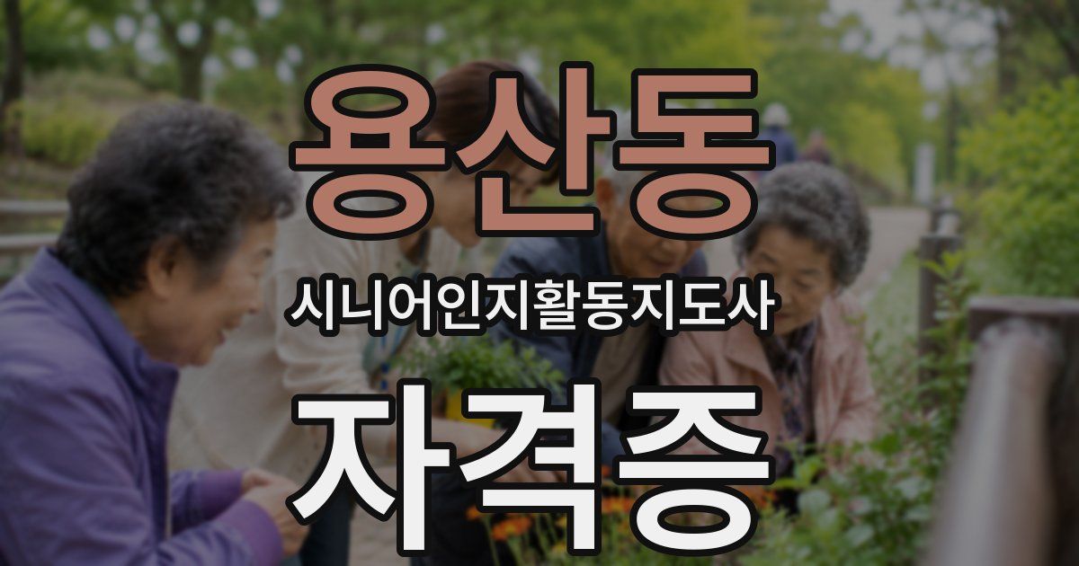 용산동 시니어인지활동지도사 자격증
