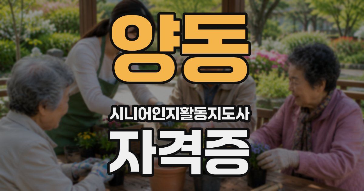 양동 시니어인지활동지도사 자격증