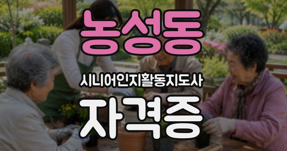 농성동 시니어인지활동지도사 자격증