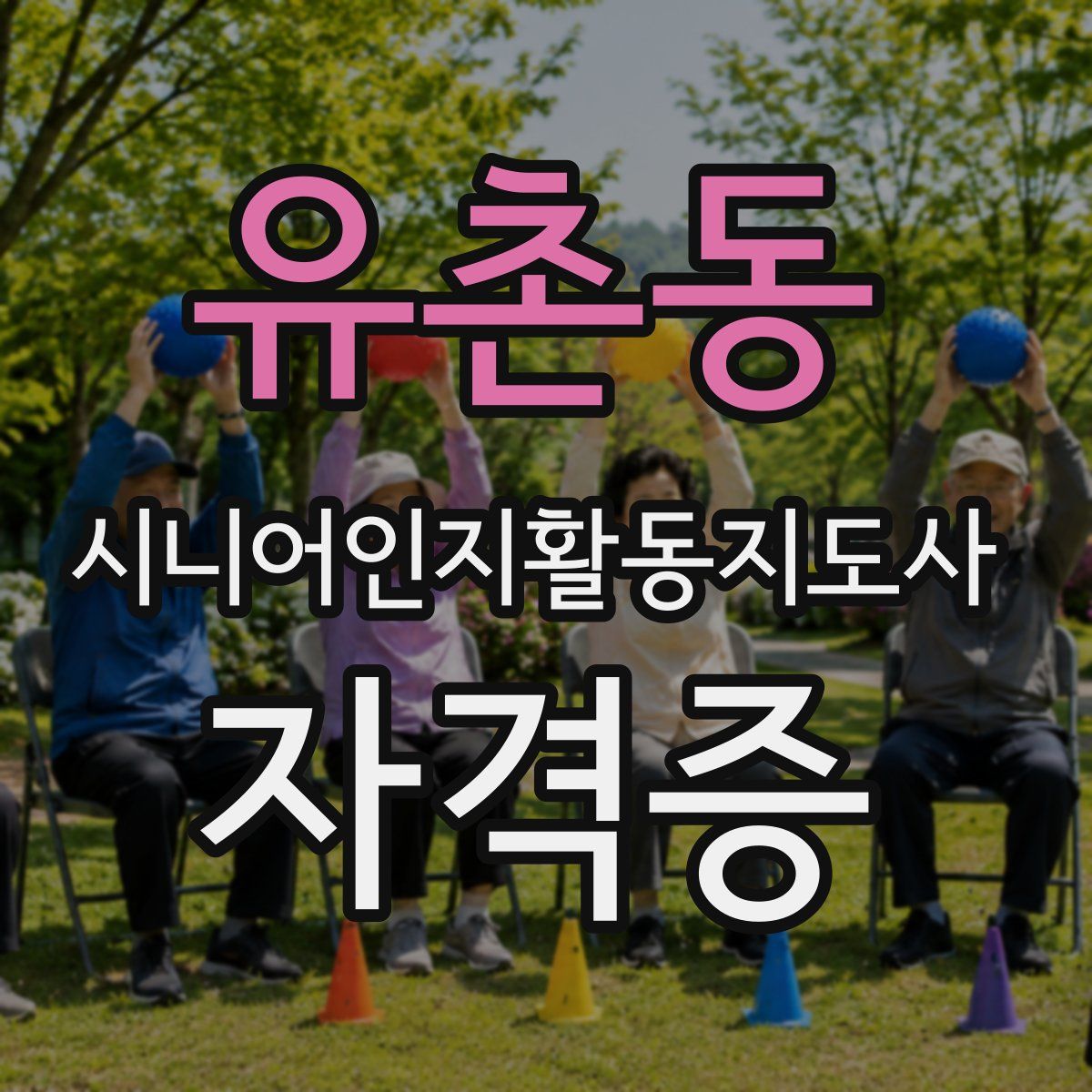 유촌동 시니어인지활동지도사 자격증