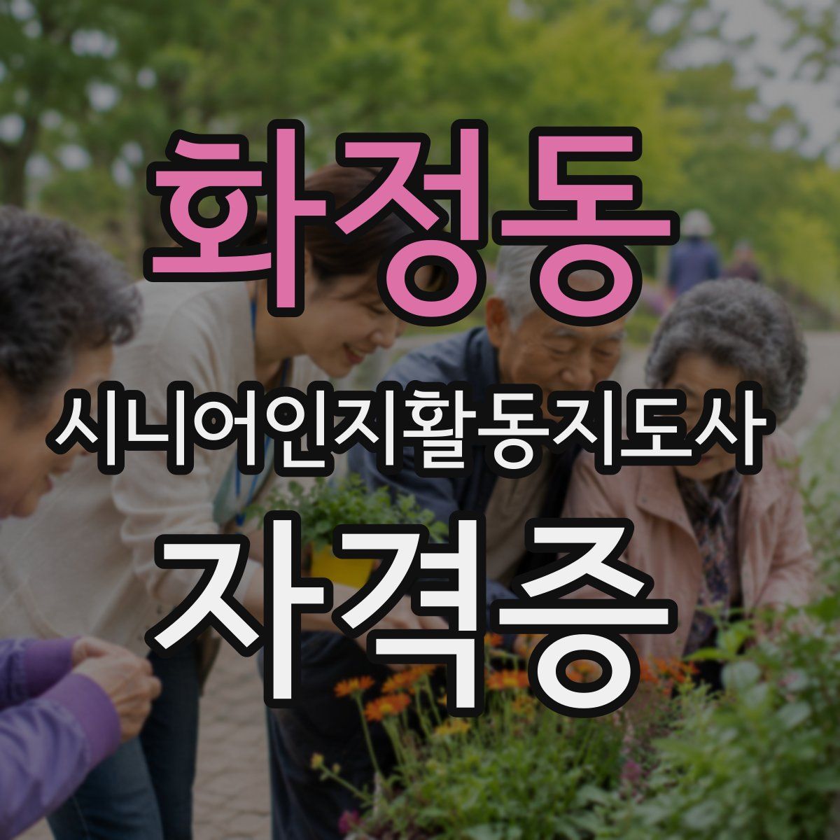 화정동 시니어인지활동지도사 자격증