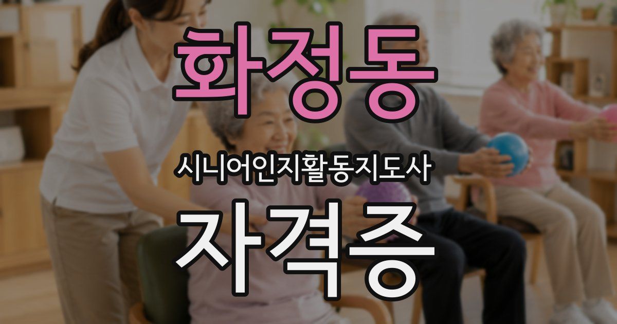 화정동 시니어인지활동지도사 자격증