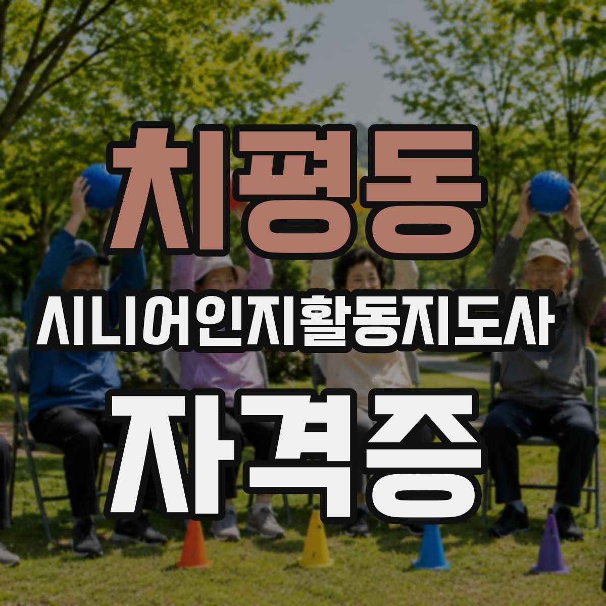 치평동 시니어인지활동지도사 자격증