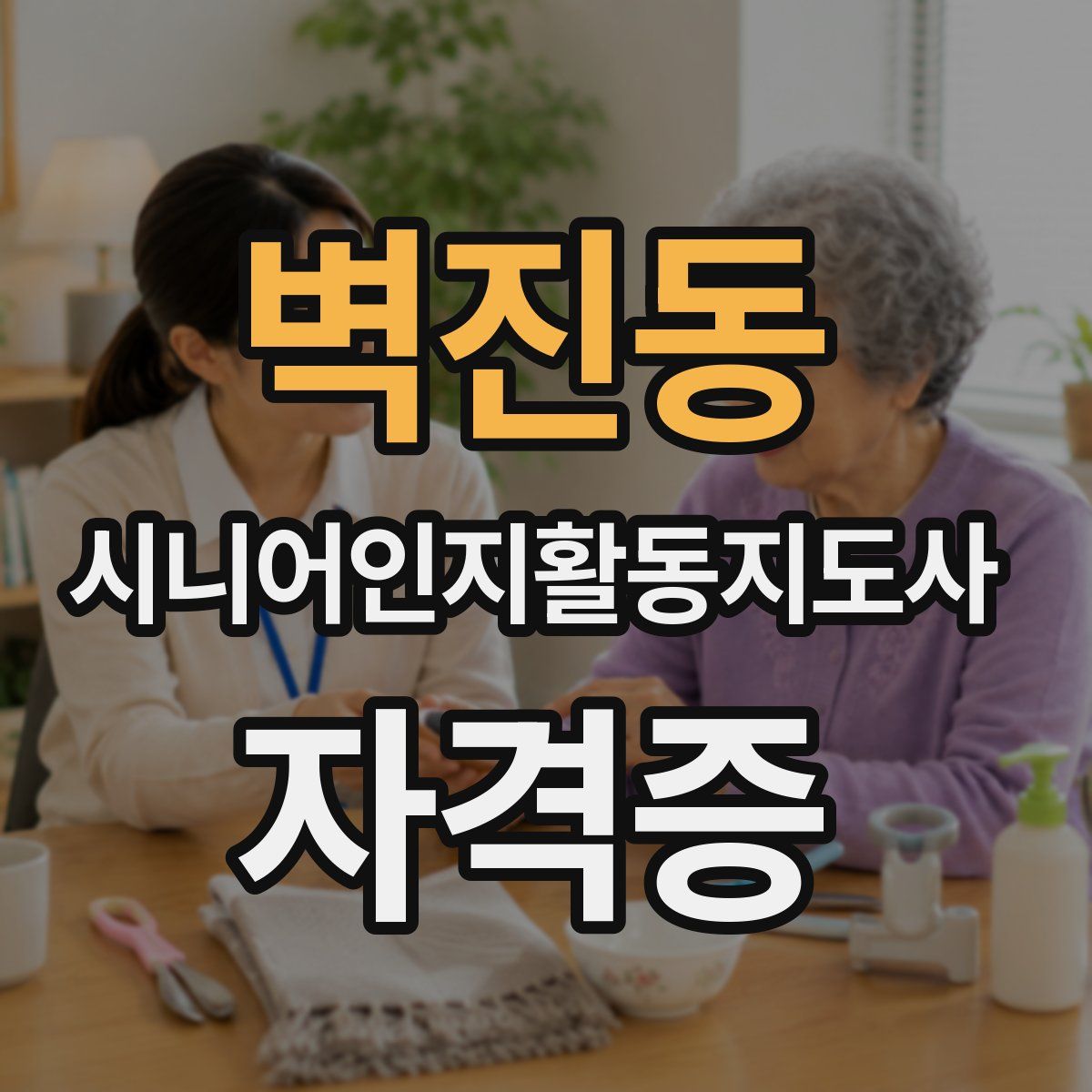 벽진동 시니어인지활동지도사 자격증
