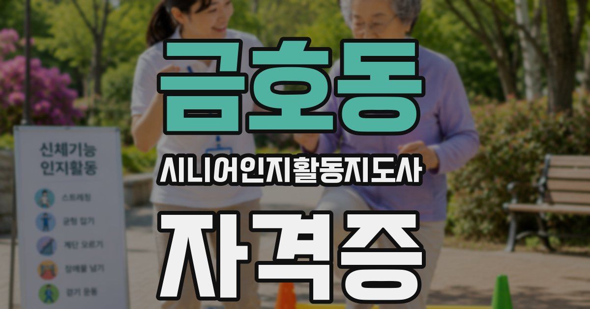 금호동 시니어인지활동지도사 자격증