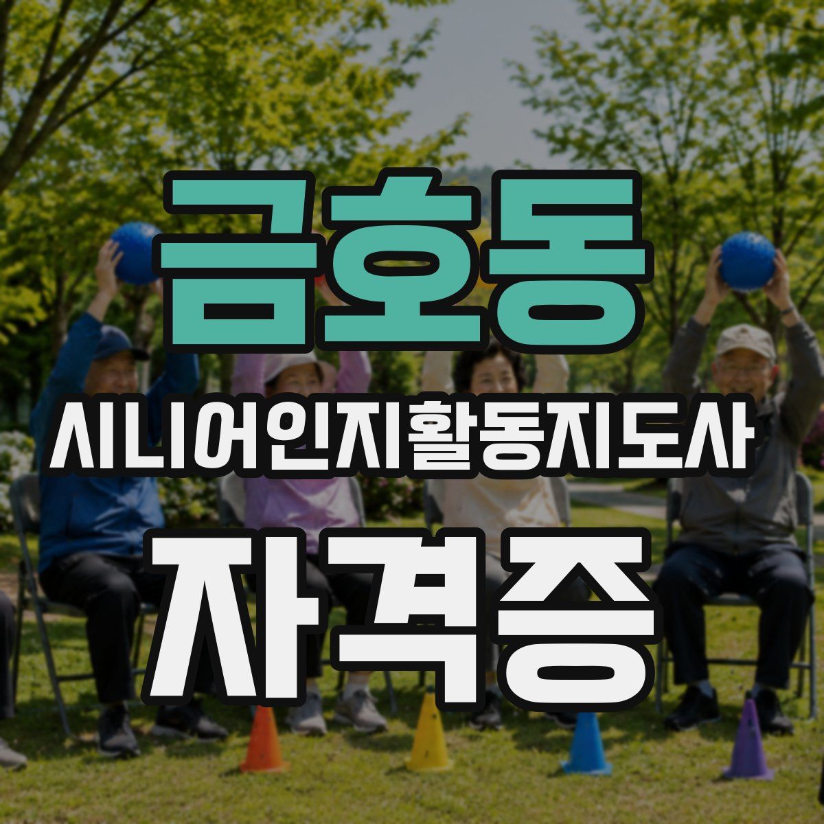 금호동 시니어인지활동지도사 자격증