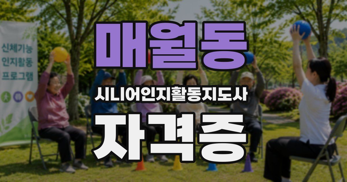 매월동 시니어인지활동지도사 자격증