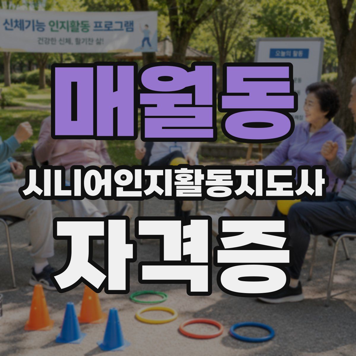 매월동 시니어인지활동지도사 자격증