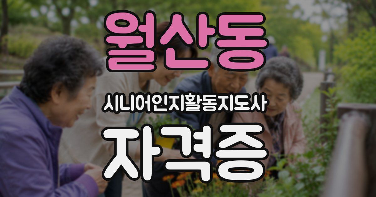 월산동 시니어인지활동지도사 자격증