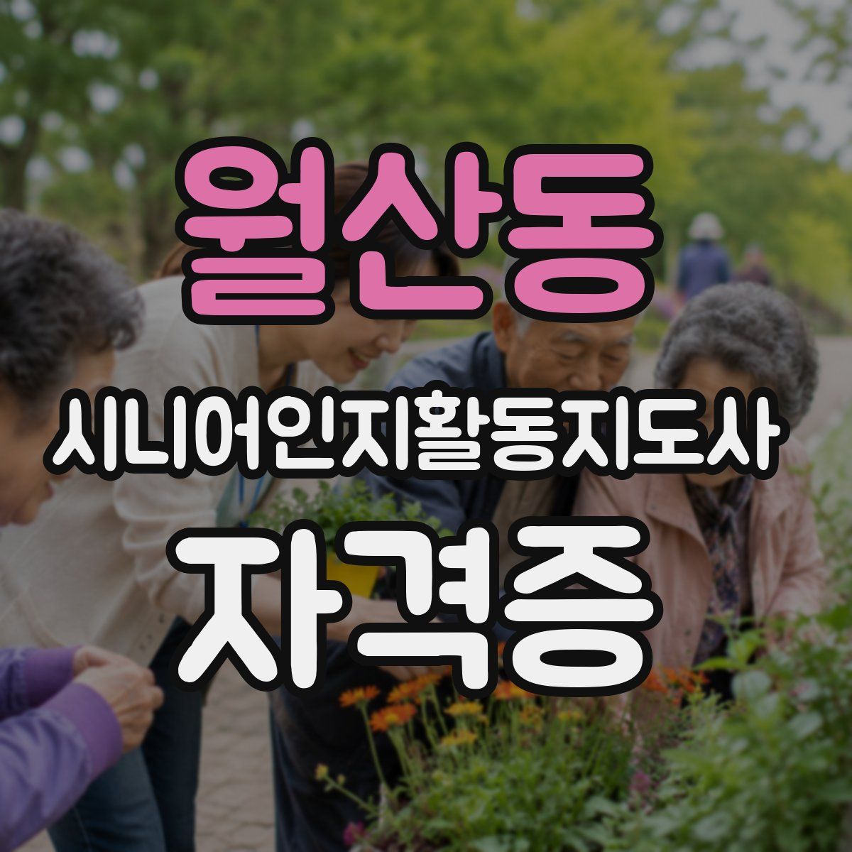 월산동 시니어인지활동지도사 자격증