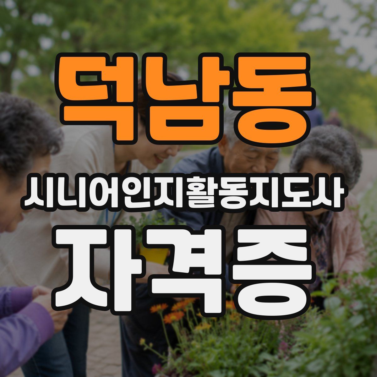 덕남동 시니어인지활동지도사 자격증