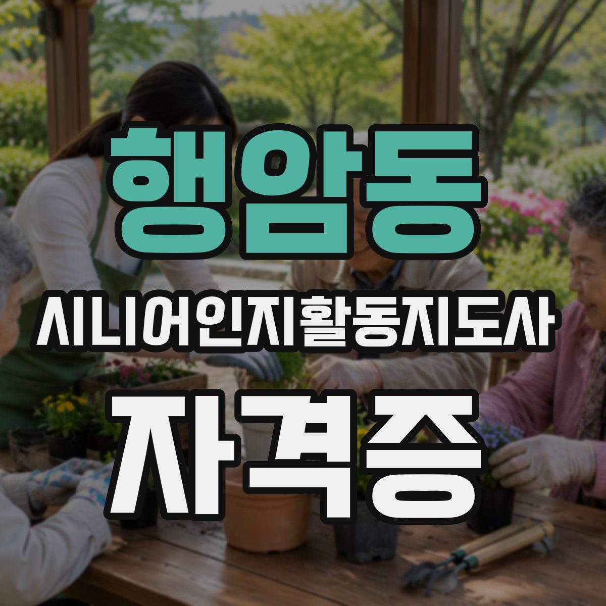 행암동 시니어인지활동지도사 자격증
