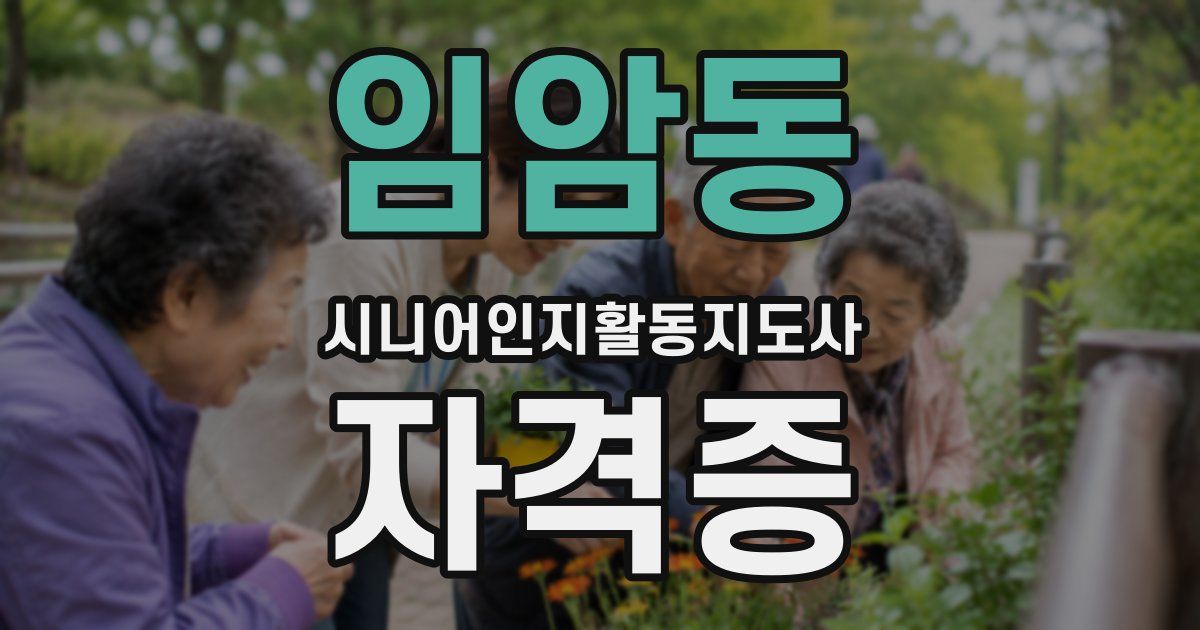 임암동 시니어인지활동지도사 자격증