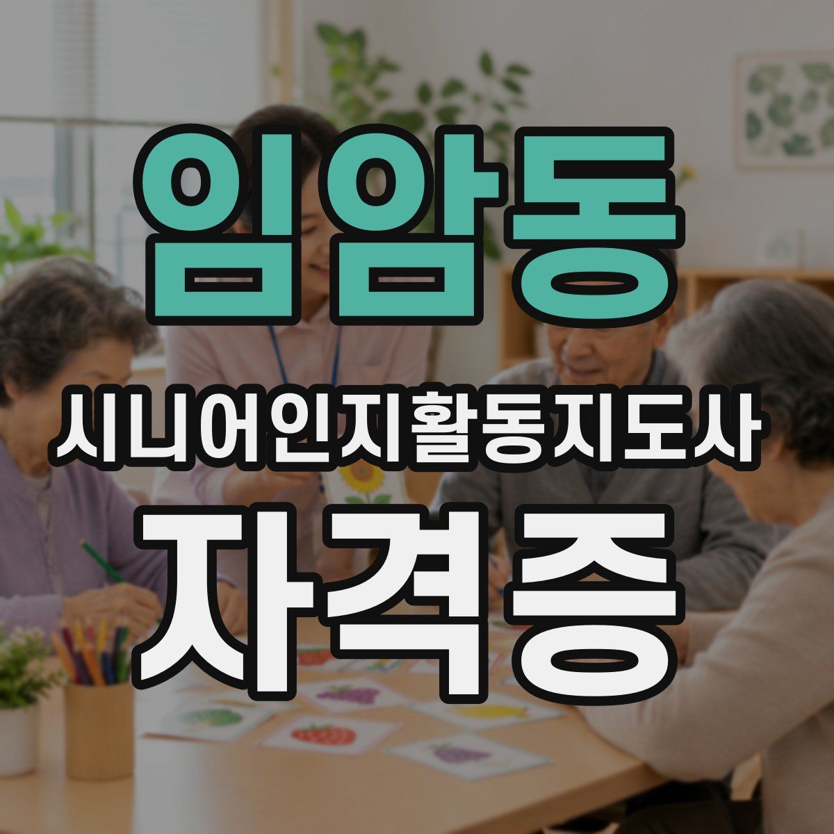 임암동 시니어인지활동지도사 자격증