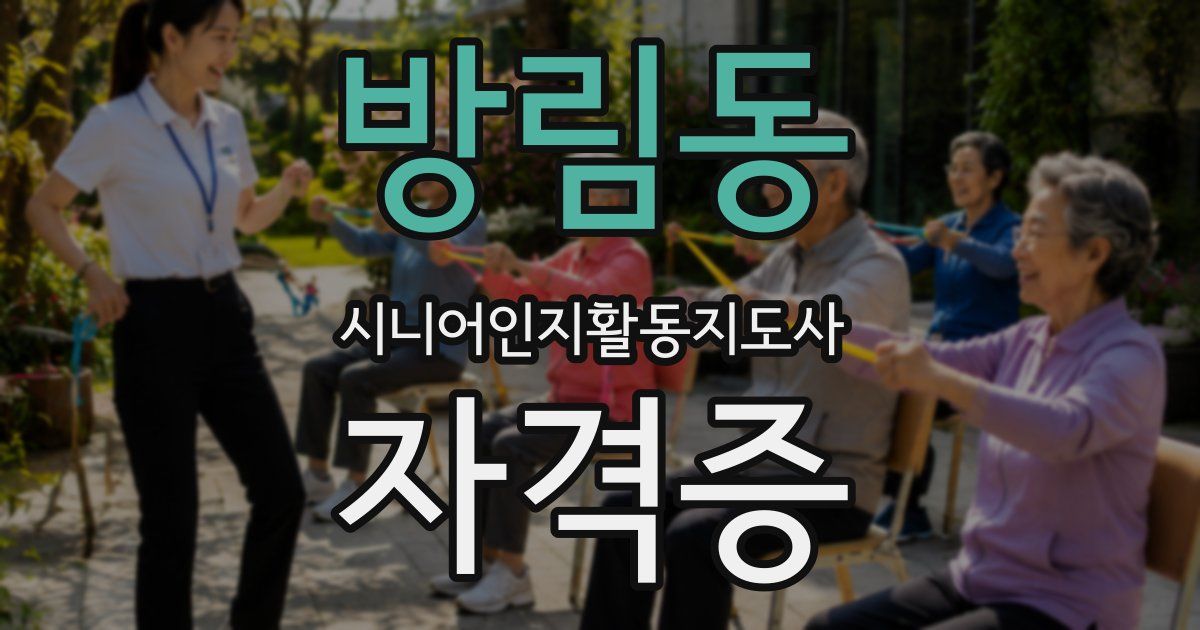 방림동 시니어인지활동지도사 자격증
