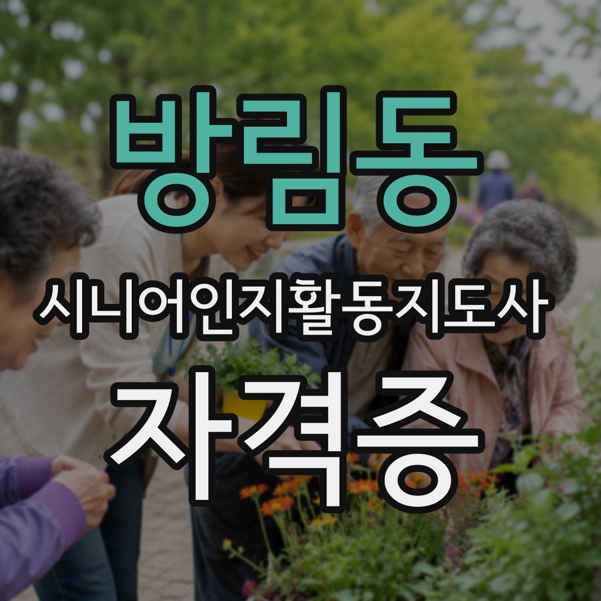 방림동 시니어인지활동지도사 자격증