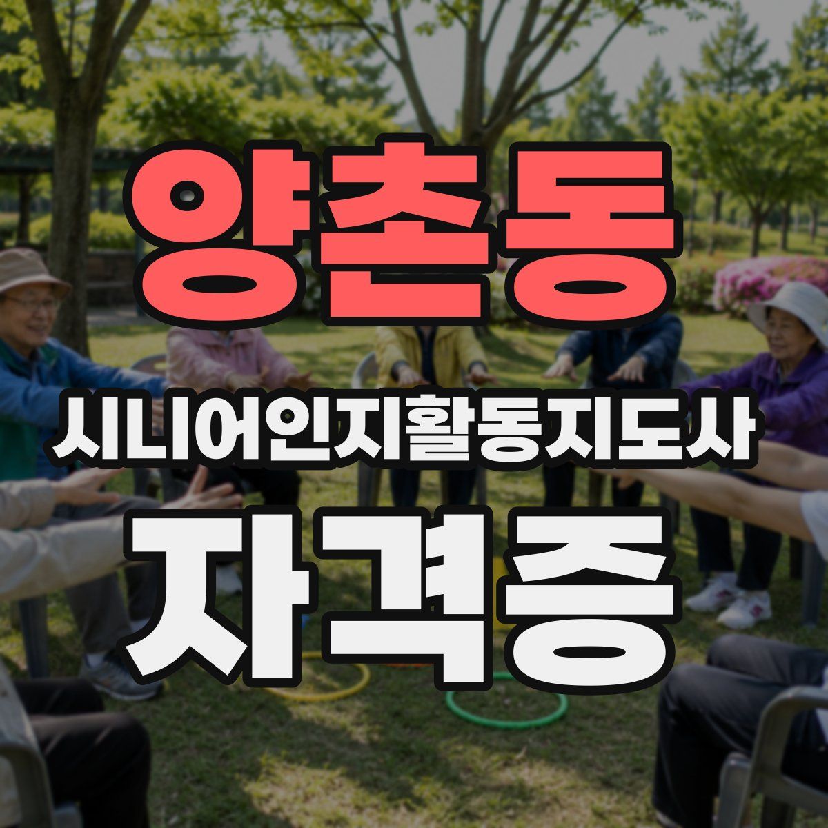 양촌동 시니어인지활동지도사 자격증