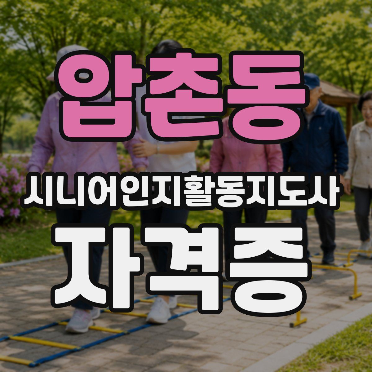 압촌동 시니어인지활동지도사 자격증