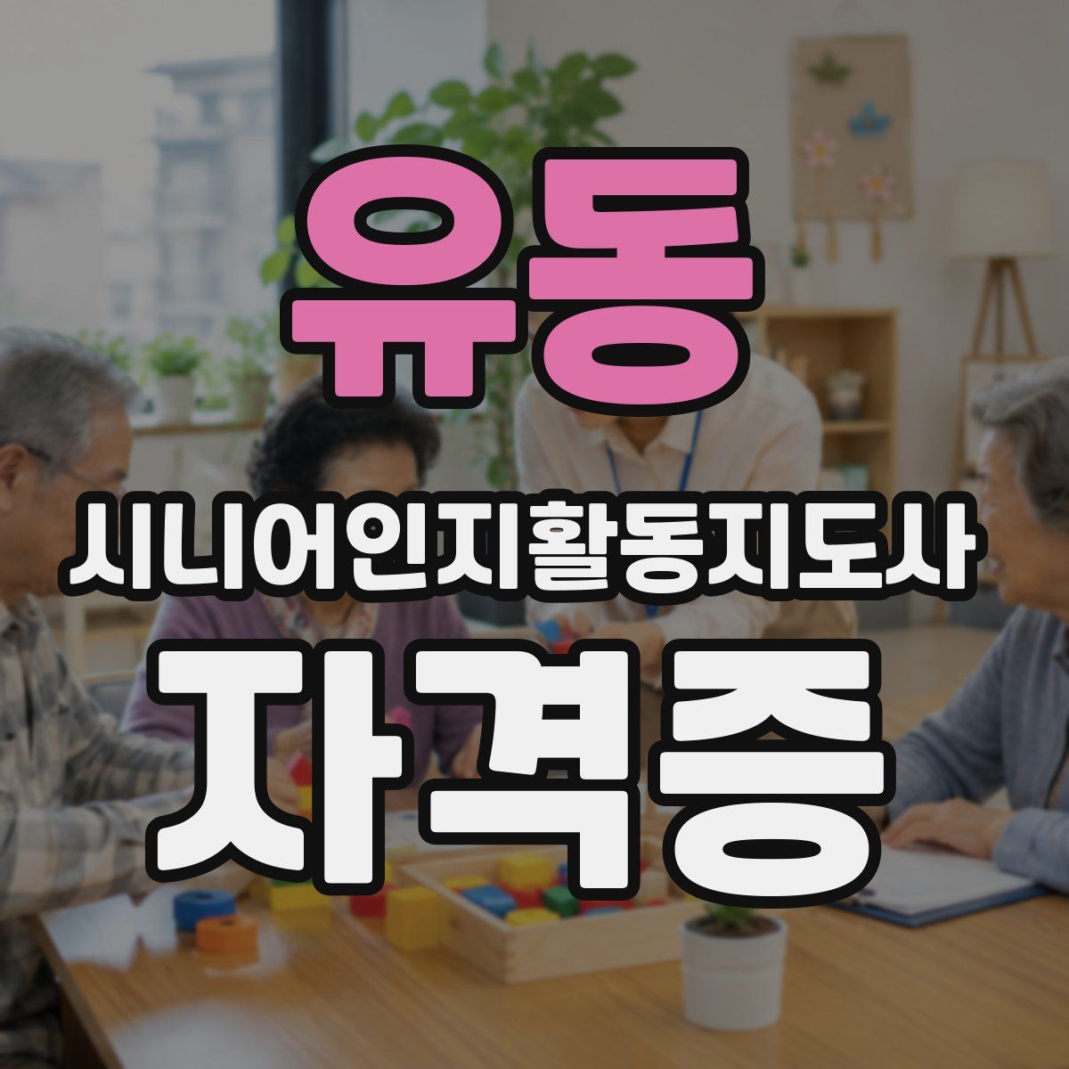 유동 시니어인지활동지도사 자격증