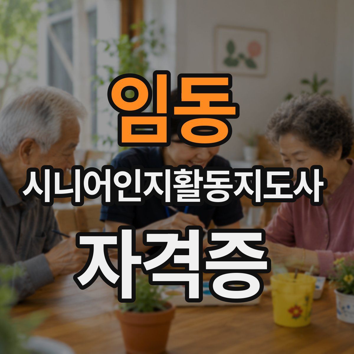 임동 시니어인지활동지도사 자격증