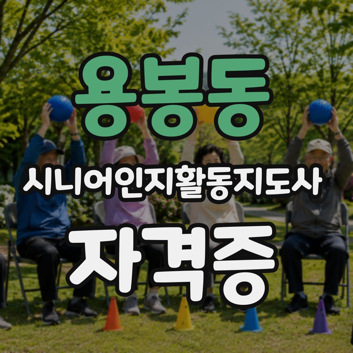 용봉동 시니어인지활동지도사 자격증