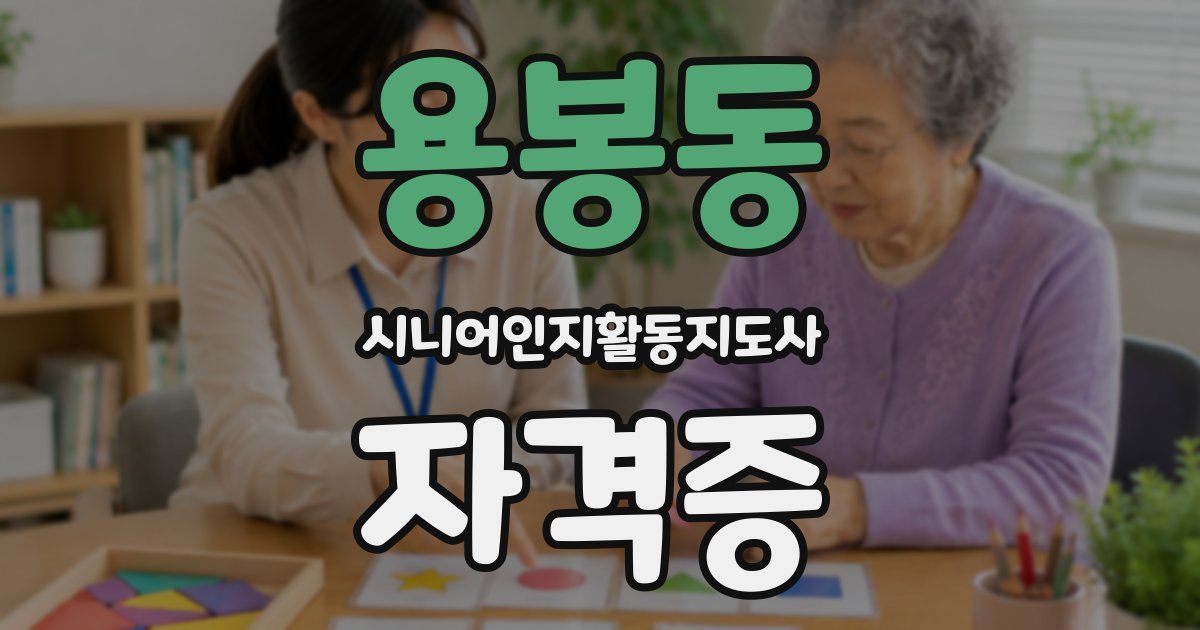용봉동 시니어인지활동지도사 자격증
