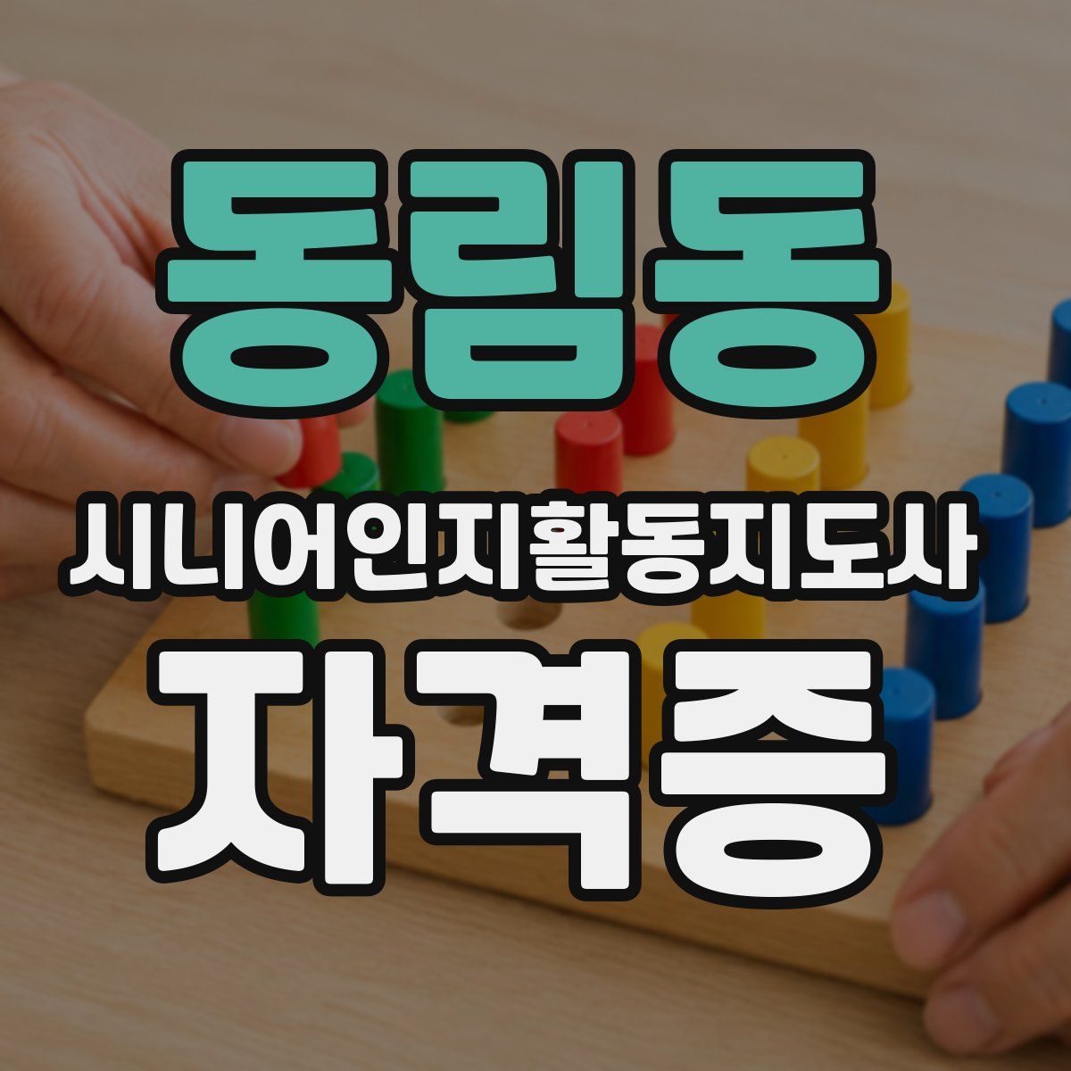 동림동 시니어인지활동지도사 자격증
