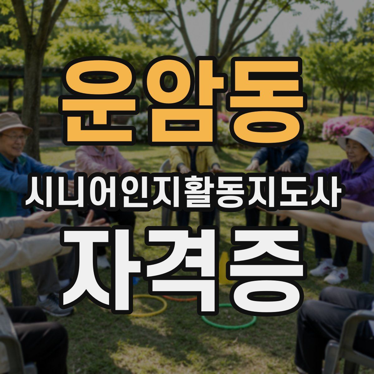 운암동 시니어인지활동지도사 자격증