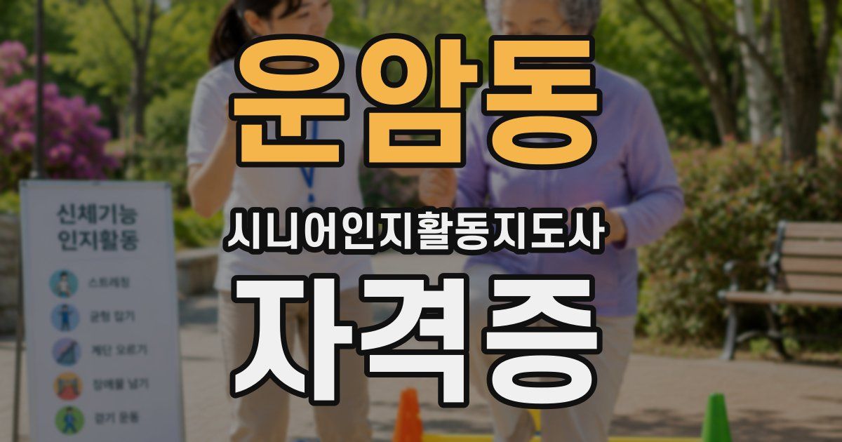 운암동 시니어인지활동지도사 자격증