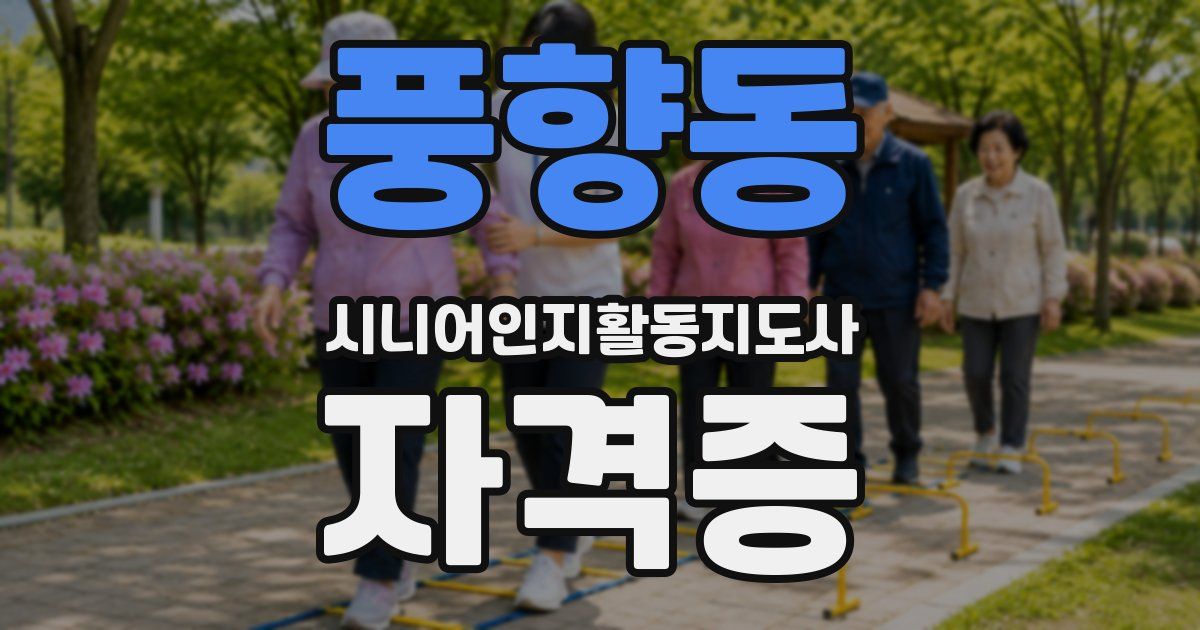 풍향동 시니어인지활동지도사 자격증
