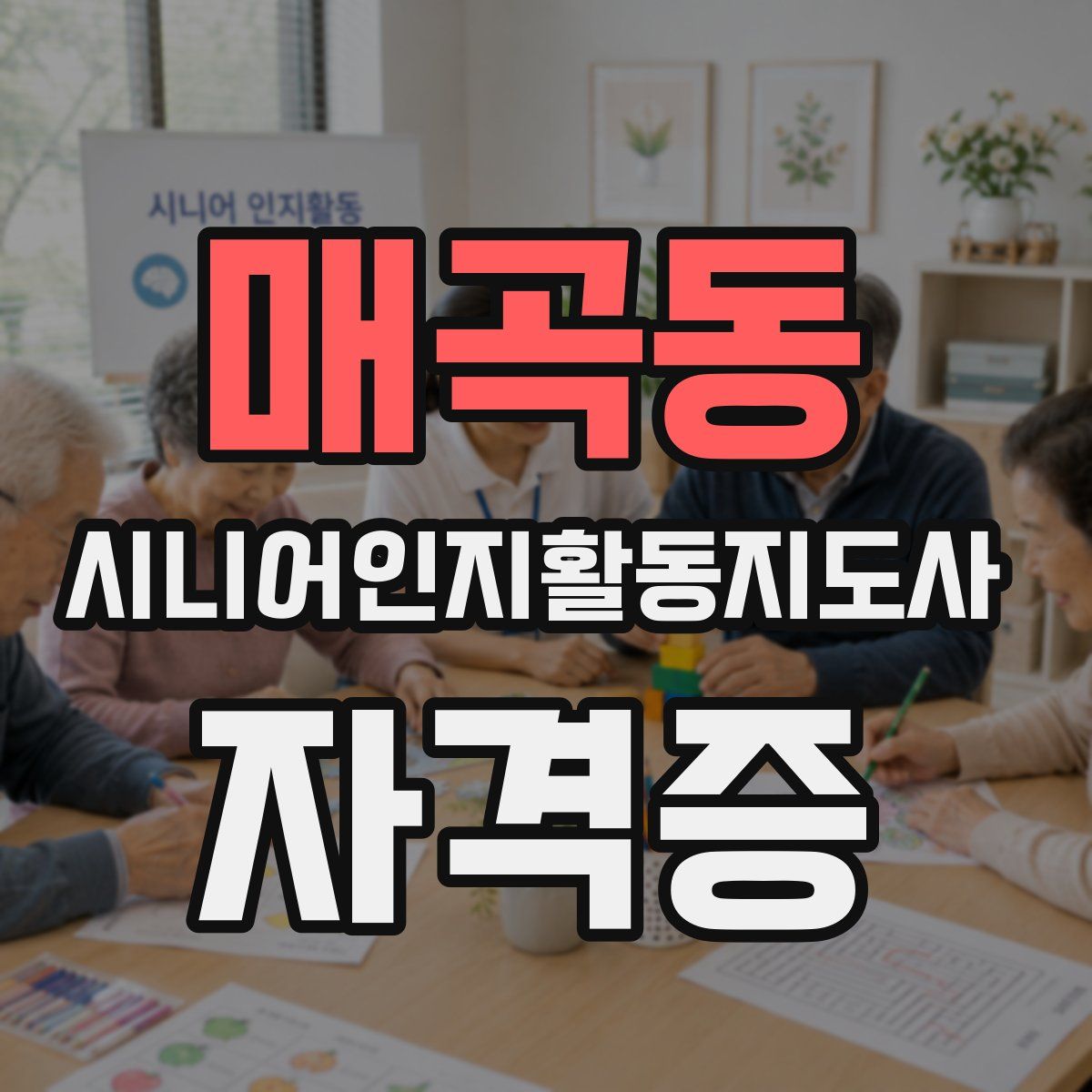 매곡동 시니어인지활동지도사 자격증