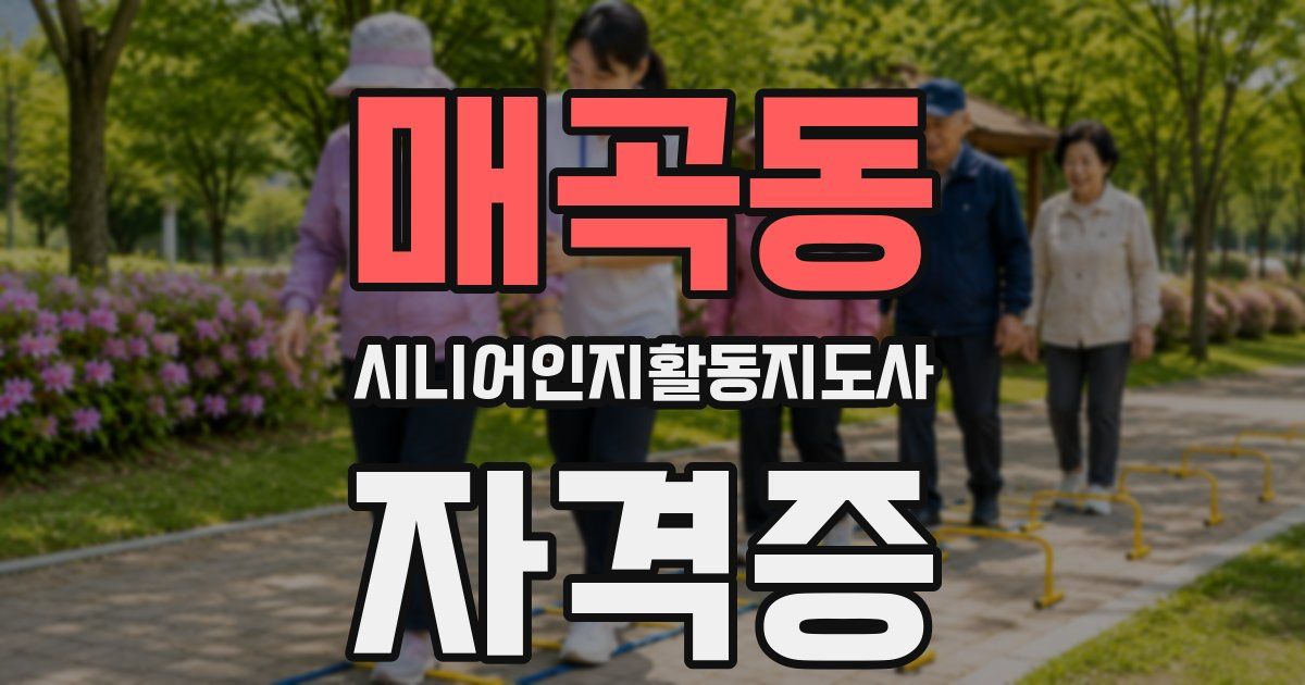 매곡동 시니어인지활동지도사 자격증
