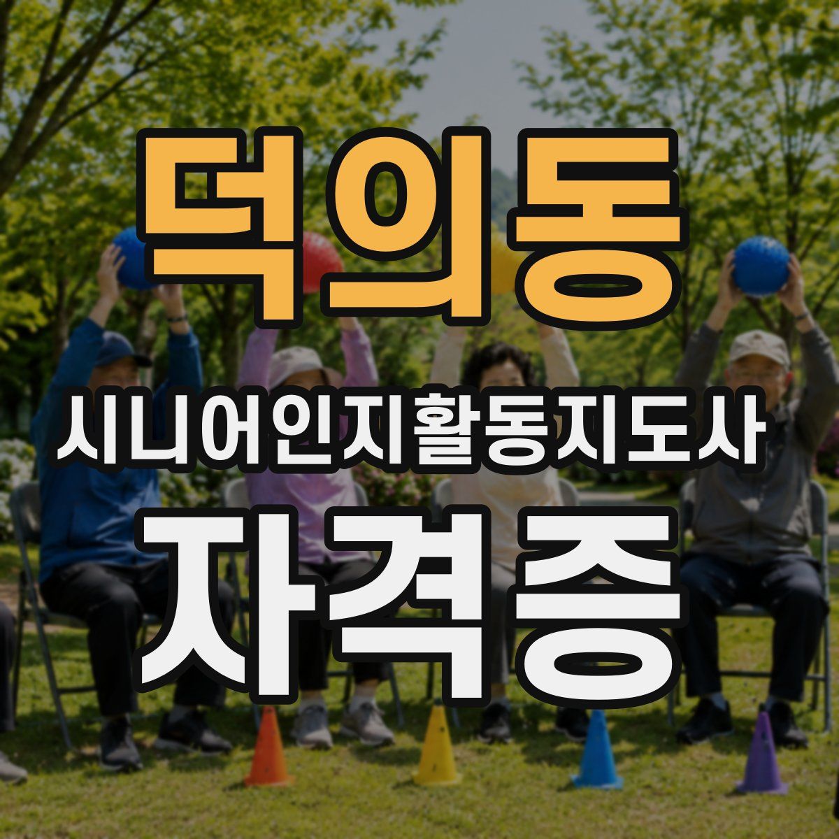 덕의동 시니어인지활동지도사 자격증