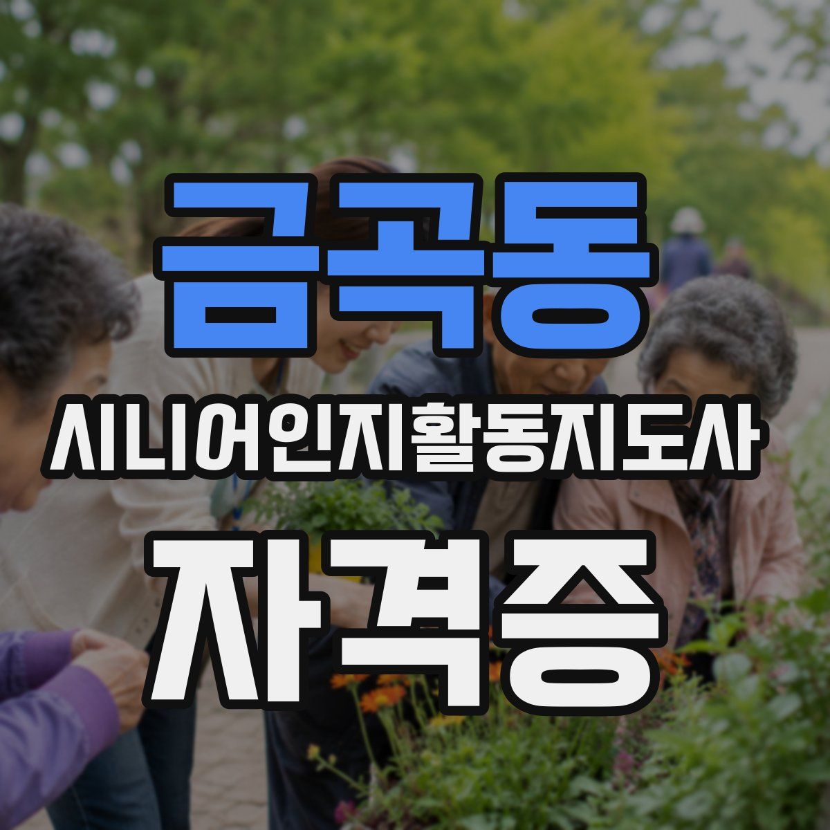 금곡동 시니어인지활동지도사 자격증