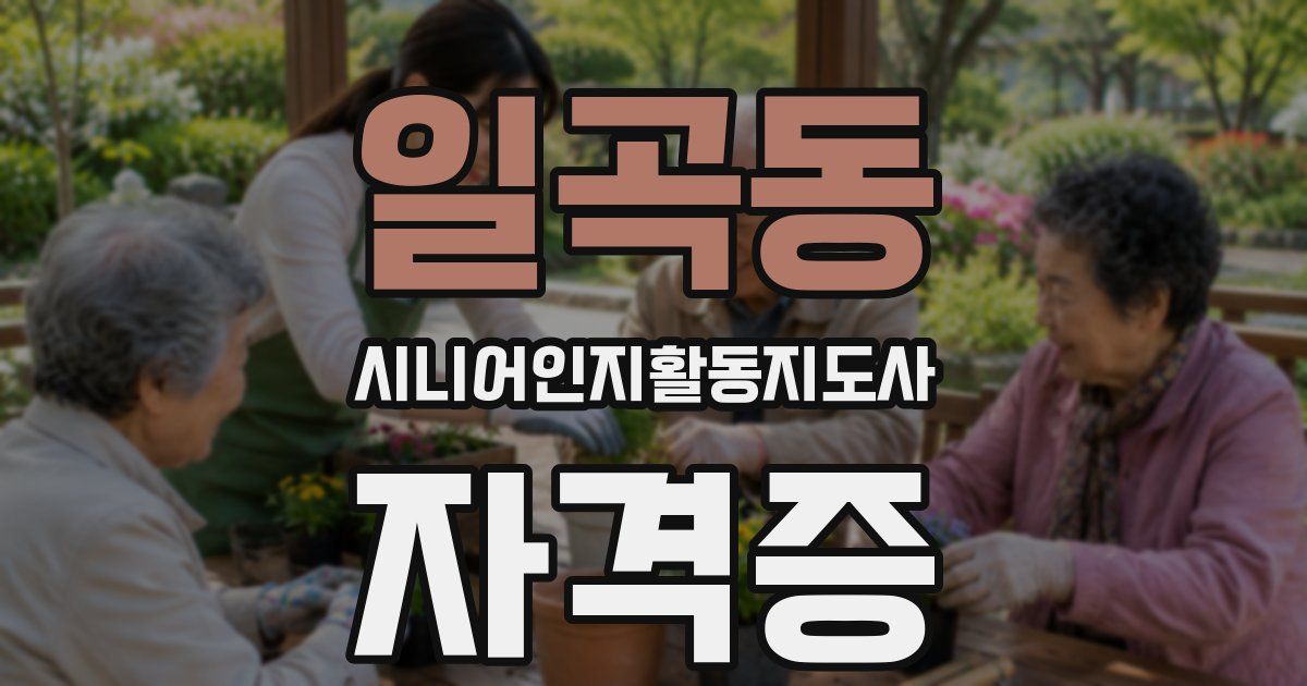 일곡동 시니어인지활동지도사 자격증