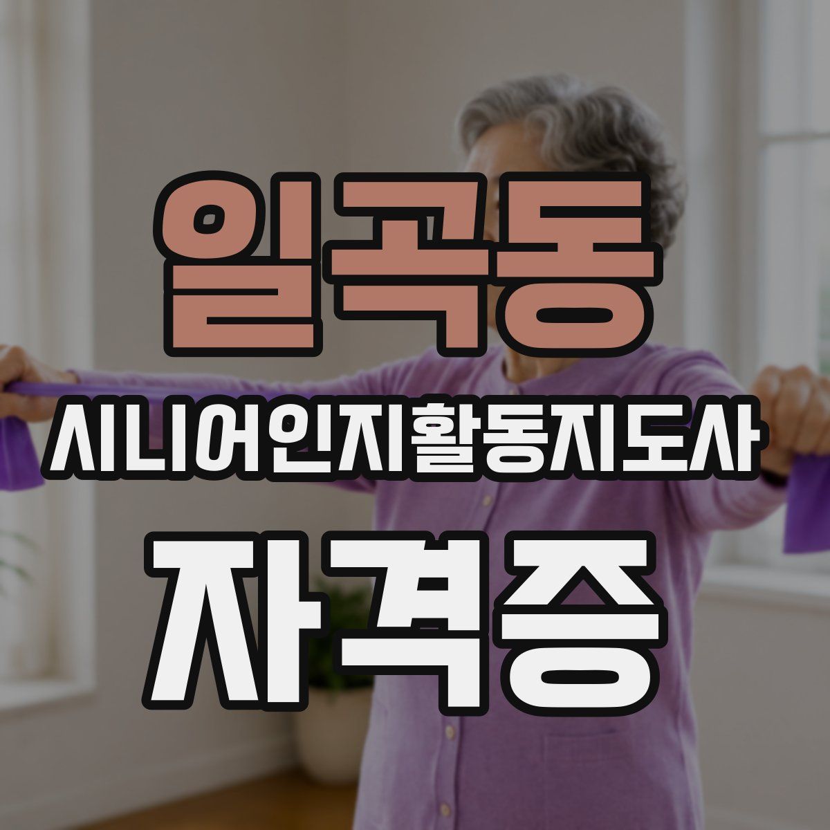 일곡동 시니어인지활동지도사 자격증