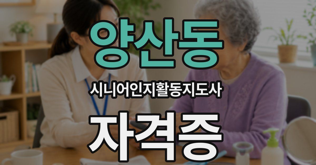 양산동 시니어인지활동지도사 자격증