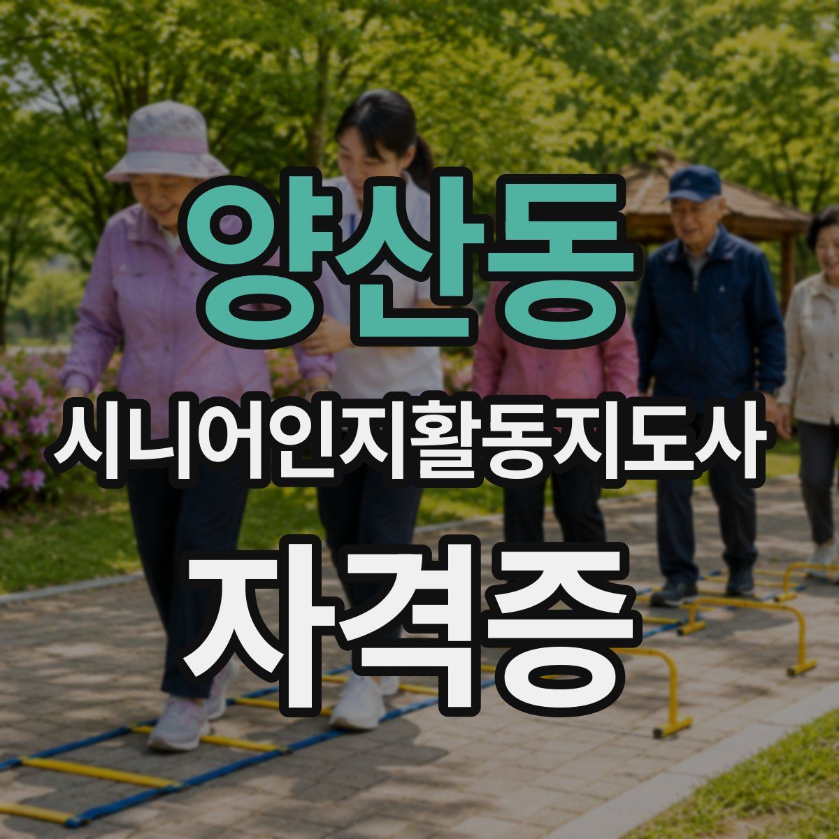 양산동 시니어인지활동지도사 자격증