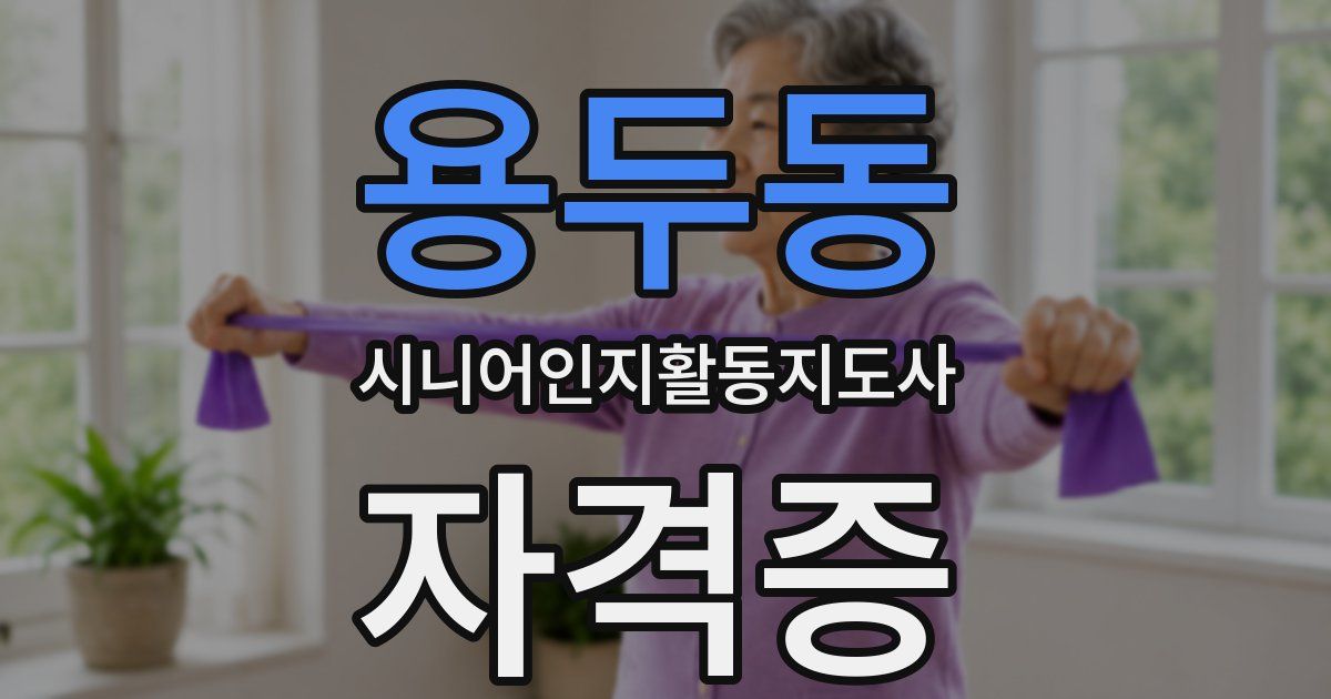 용두동 시니어인지활동지도사 자격증
